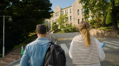 Young diverse college couple going to study. Back view of intelligent university students going to c