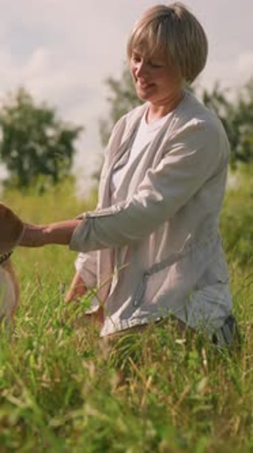 Dog Owner Kneeling in Grassy Field Holding Leash As Dog Looks Intently