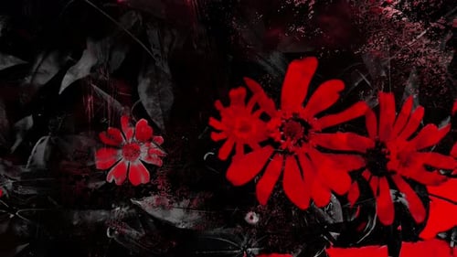 Red Flower Grunge Fast Strobe Background