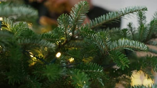 Young Woman Decorates Christmas Tree at Home