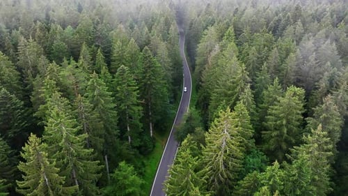 Images aériennes d'une voiture traversant une route forestière