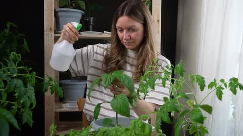 Woman in Striped Shirt Waters Indoor Plants Using Spray Bottle Promoting Indoor Gardening and Plant