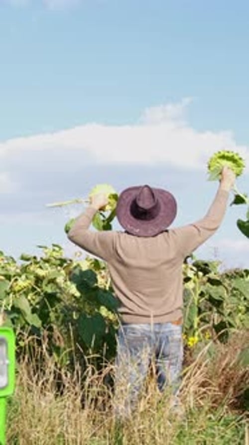 Joyful Farmer Celebrating His Successful Harvest in a Beautiful Sunflower Field