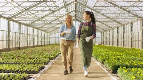 Two Happy Industrial Greenhouse Workers Walk Through Rows of Colorful Flowers and Green Vegetables.