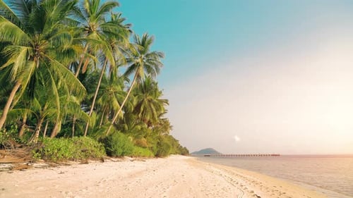 Tropical beach and palm tree. Beautiful tropical island paradise with palm trees.