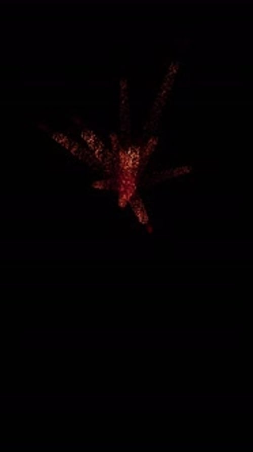 Aerial Sparks Explosion (18)