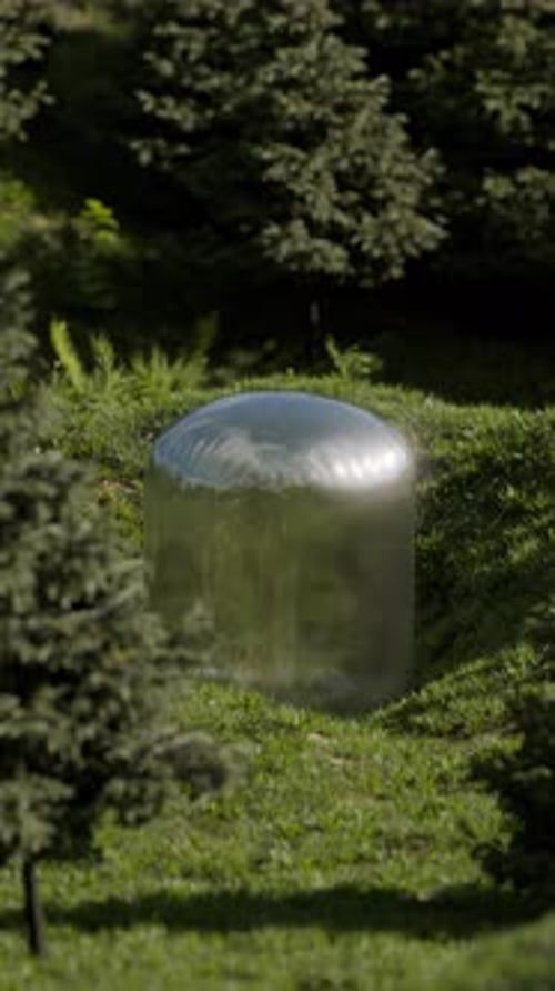 Surreal Shape Inflating Loop 3D Animation