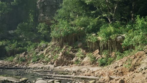 A Serene River Flowing Through a Vibrant Tropical Jungle