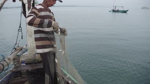Tiny catches of small fish in the nets paint a picture of struggle for Java's traditional fishermen.