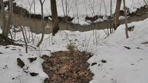 Calm mountain stream in the winter forest.