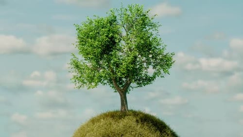 Animated 3D Tree Growing on a Grassy Mound