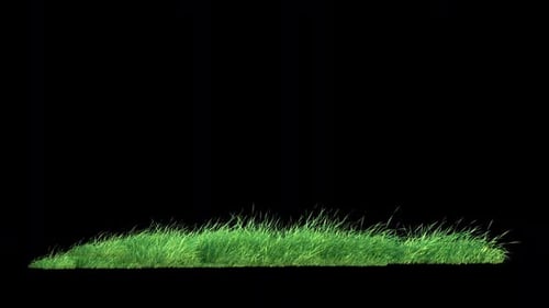 Grass Wind Loop on Alpha.