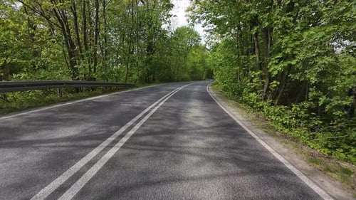 Dirija na estrada através de árvores verdes exuberantes em um dia ensolarado First Point View