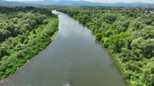 Peaceful river with woodland riverbanks ecosystem flowing through rural area