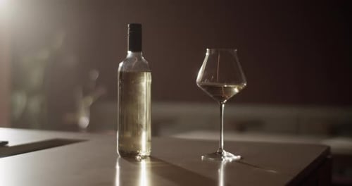 Wine Bottle and Glass in Dim Ambient Lighting