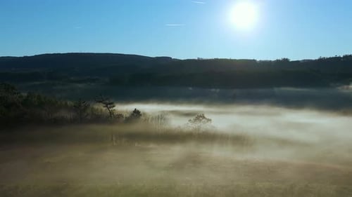 Trees In The Forest Shrouded With Fog At Sunrise. - aerial shot