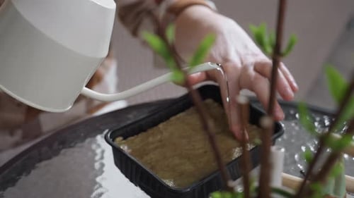 Woman Pressing Seed Medium and Pouring Water Into Container