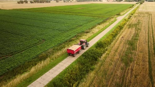 Tractor with Trailer Full of Wheat Grain Harvest Driving By Rural Road in Farming Season