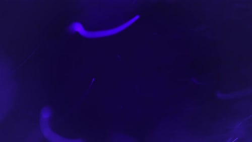 Lumières violettes dans l'obscurité