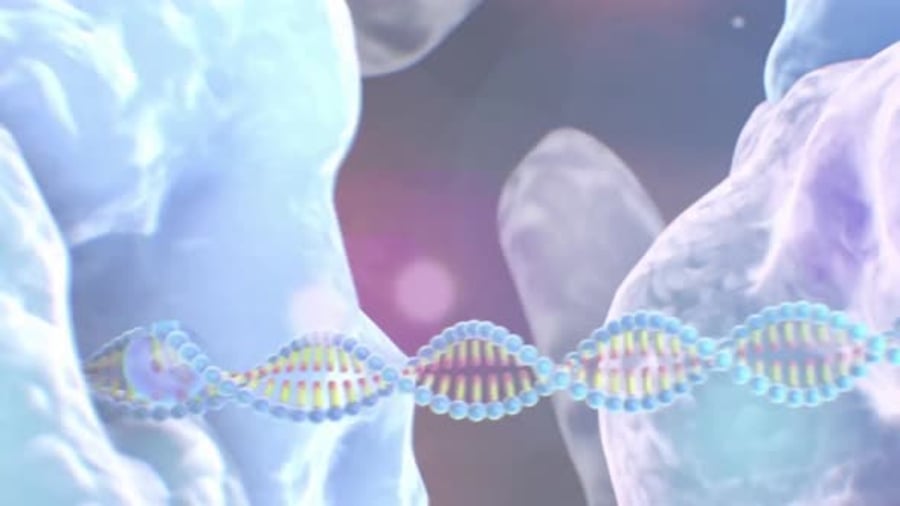 3D Animation Of DNA Replication Termination Backgrounds Motion 3d-animation-of-dna-replication-termination-backgrounds-motion