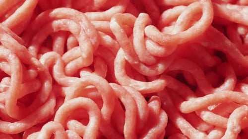 Viande hachée de porc et de bœuf frais, macro gros plan, poulet et dinde, mélange de viande à hamburger