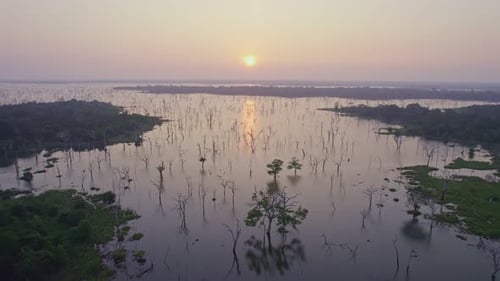 Sunset Over a Swamp in the Jungle