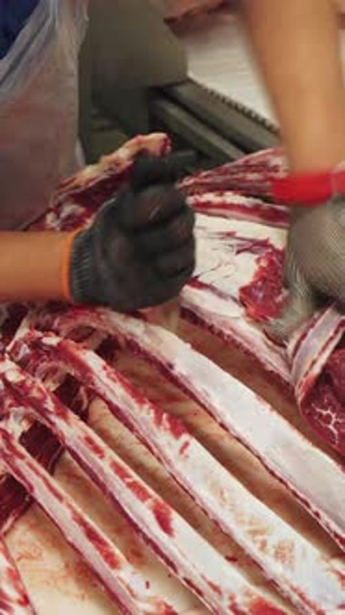 Meat Worker Cuts Up Ribs in Food Processing Plant