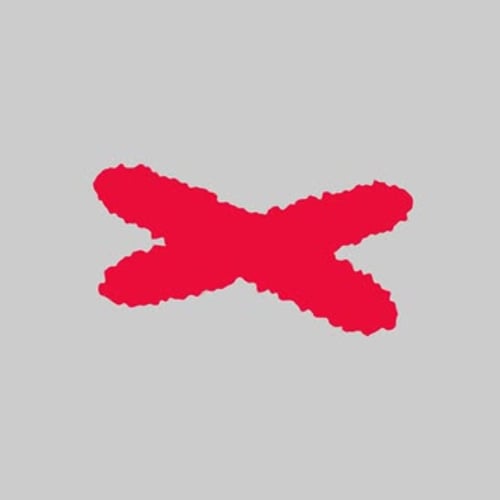 Rough Sketch Red X Mark Animation