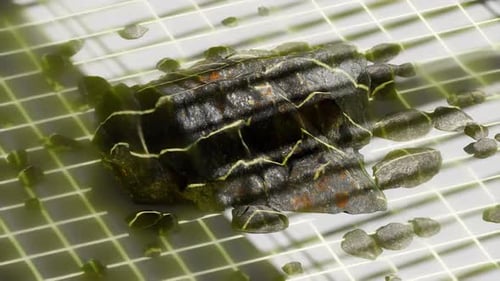 Astronaut Foot Print 3D Animation