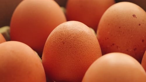 Frische Eier vom Bauernhof in einer empfindlichen Papierschale — Gesundes Ernährungs- und Bio-Lebensmittelkonzept