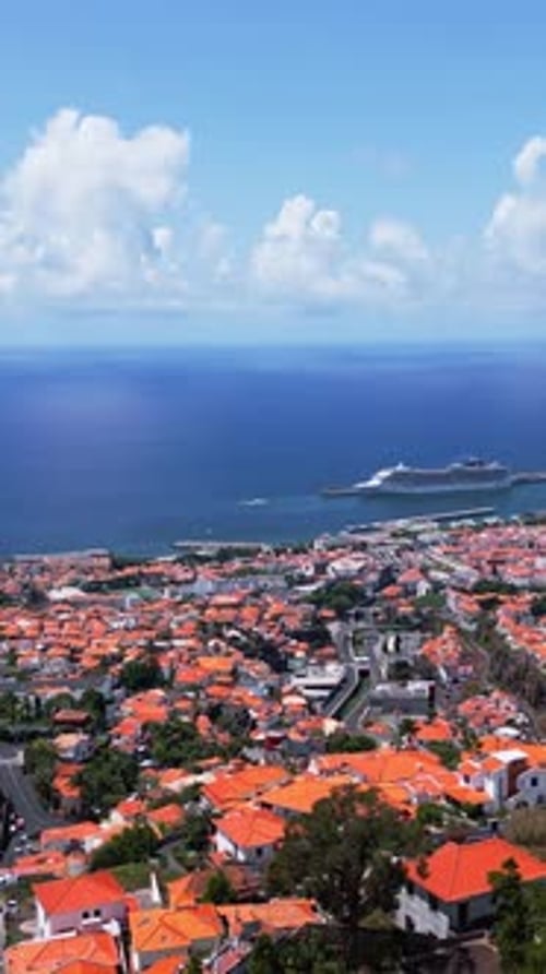 Vertical Aerial View of Coastal City and Cruise Ship in Distance