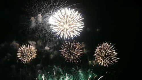 Bright and Colorful Fireworks Exploding in the Night