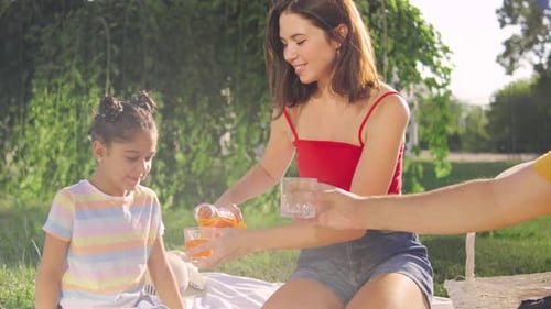 Family Picnic Enjoying Sunny Day in Park