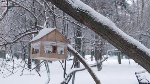 Winter bird feeder in snowy park