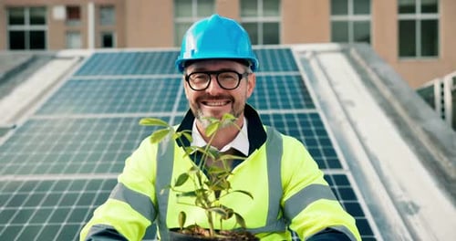 Face, solar panel engineer and happy man with plant on roof in city for sustainable power