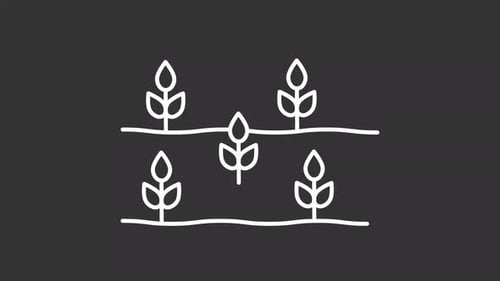 Animierte Sprossen im Feld, weißes Liniensymbol