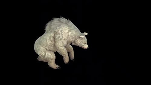 Wild White Bear Attack Idle