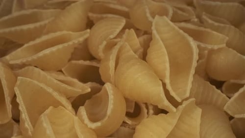 Close Up of Conchiglie Pasta Shells