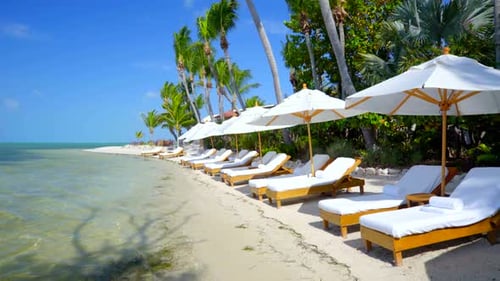 Beach Chairs and Umbrellas on Tropical Beach Aerial