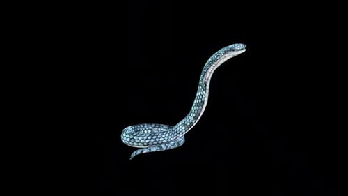 King Cobra Bite Attack 2