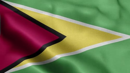 Guyana Flag Front