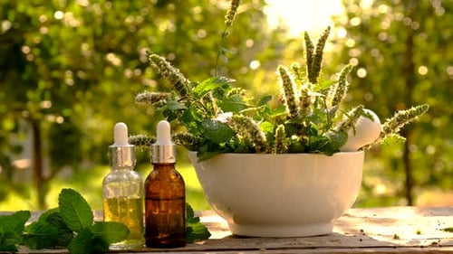 Healing Herbs and Essential Oils in Golden Light