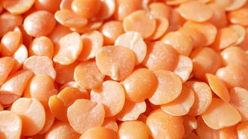 Close Up of Uncooked Orange Lentils