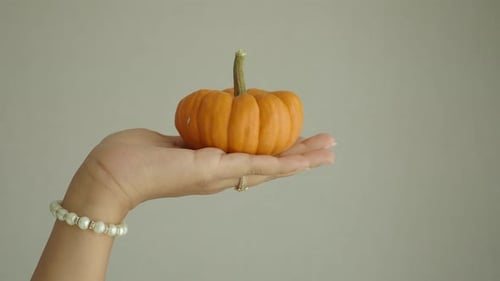 Hand Hold a Small Pumpkin Against White Backgorund