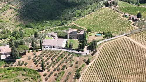 Picturesque Aerial View of Castle and Vineyards