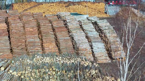 Massive Holzstapel im Holzlager mit industriellen Holzstapeln, sortiert nach Typ — Ansicht vom Erdgeschoss