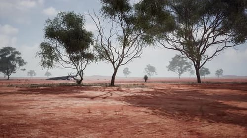 A Scenic Landscape with Red Dirt Field and Trees in the Distance