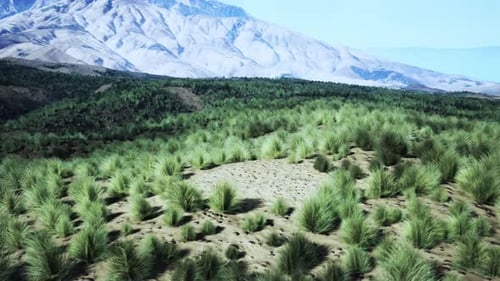 A Breathtaking Aerial View of a Majestic Mountain Range Surrounded By Grass