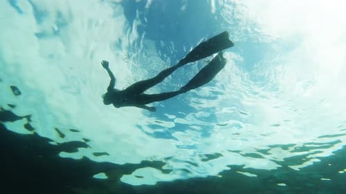 Scuba diving, swimming and woman in ocean for adventure, freedom and vacation to explore
