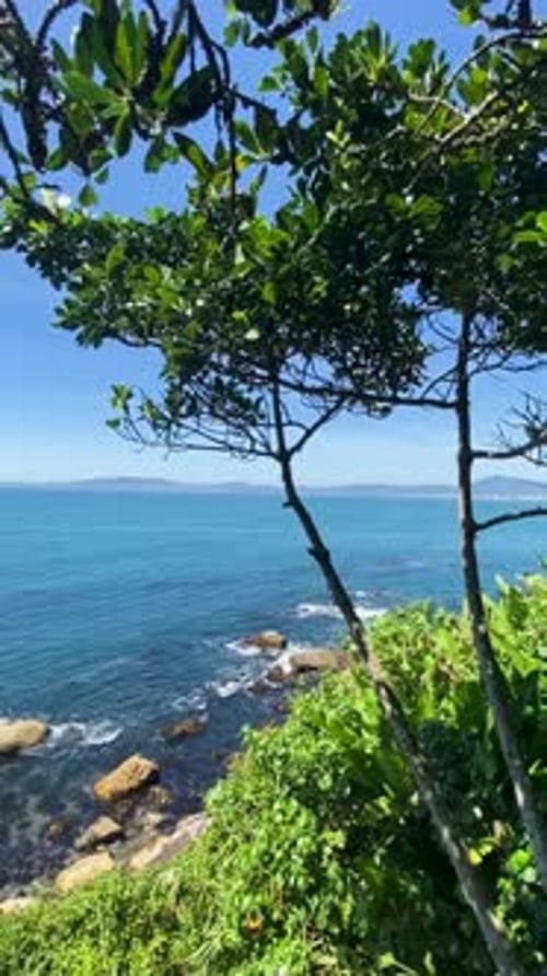 Tropical view of the Caribbean Sea through lush green trees on a sunny day in Cartagena, Colombia